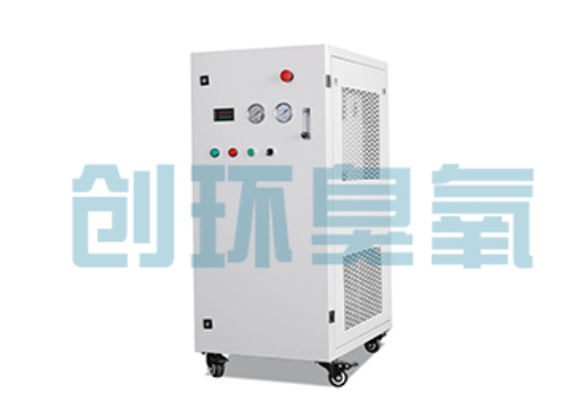 海南石斑鱼养殖水质调控完整指南：臭氧发生器配置与操作步骤