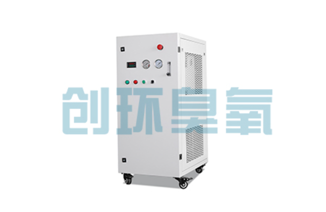 海南比传统换水更高效？臭氧发生器在石斑鱼养殖中的水质净化原理解析